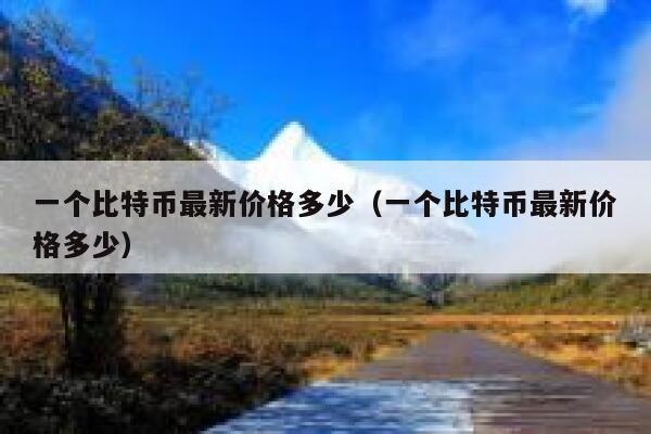包含比特币最高的时候是多少钱一枚2022的词条
