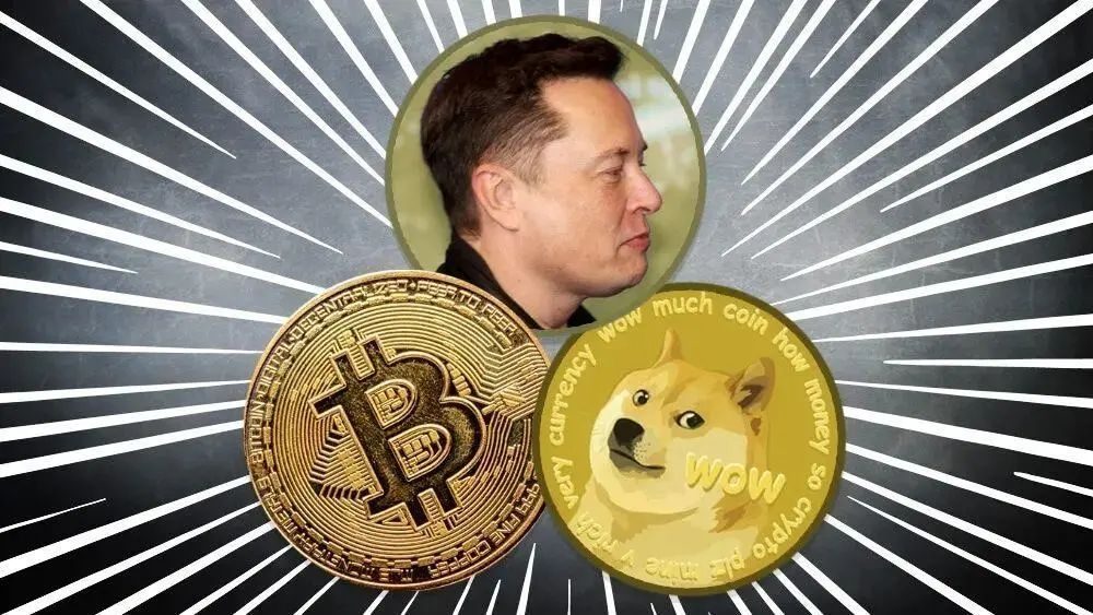 屎币最新消息-屎币最新消息状态