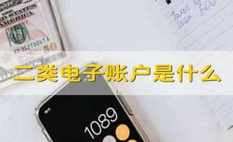 电子货币的种类有哪些?-电子货币的种类有哪些及其含义