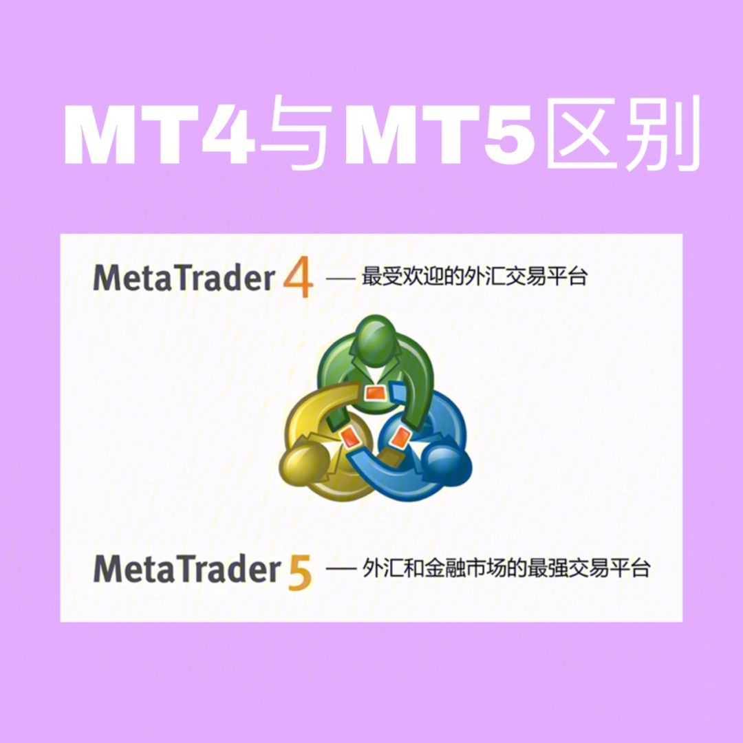 mt5外汇平台官网下载-mt5外汇交易平台手机版