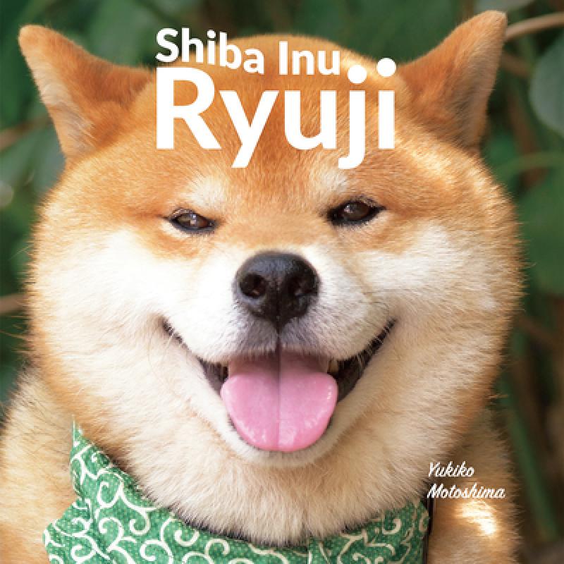 shibainu-shibainu读音