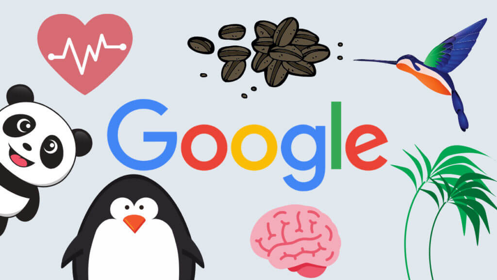 搜索引擎有哪些谷歌-google搜索引擎的基本原理