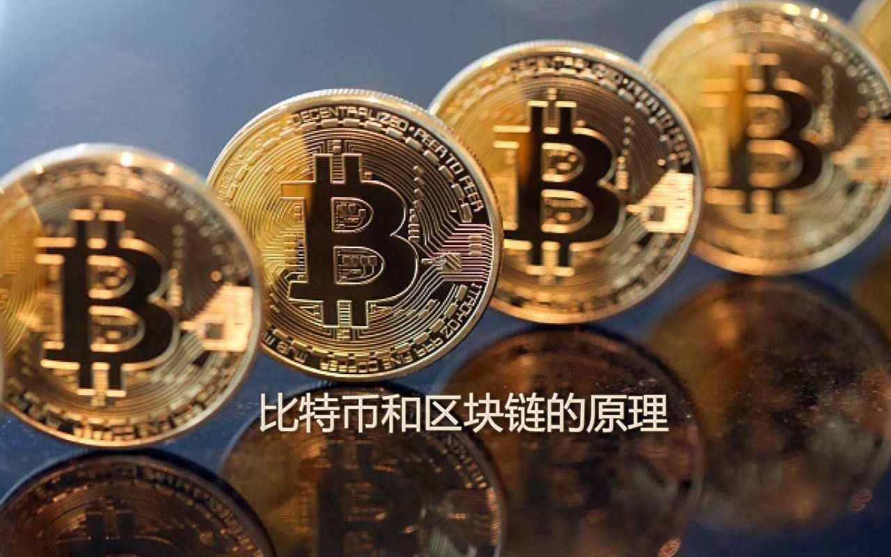 btc属于什么币种-ustd交易app下载