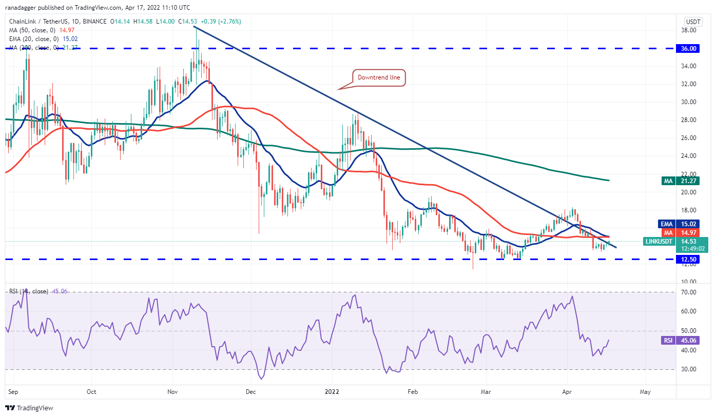币种usdt-币种USD是什么意思