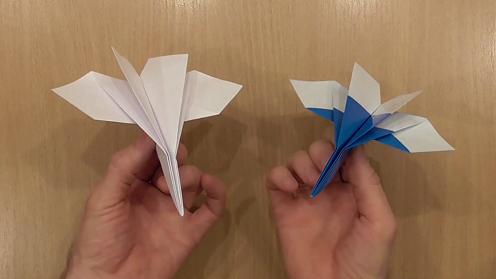 纸飞机怎么视频聊天-纸飞机视频聊天会被截取吗
