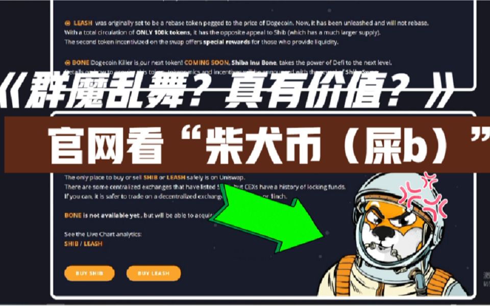 屎币2023年能涨起来吗-2024年即将出现的百倍币