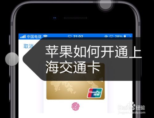 ios下载钱包、苹果钱包怎么下载软件