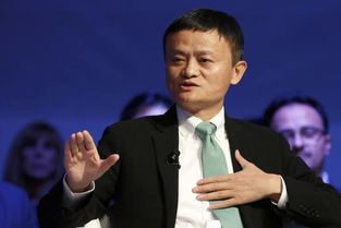 马云挖了多少派币、刘强东挖了多少派币