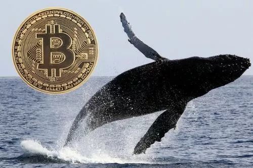 tokenview官网、usdttokenviewcom