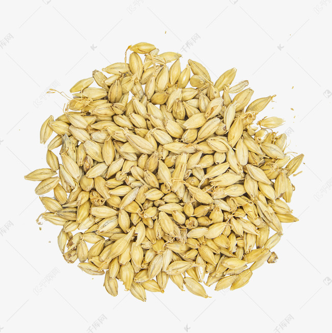 麦芽下载、麦芽推剧下载