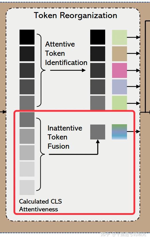 token怎么读用英语怎么说、tokenpocket英语怎么读