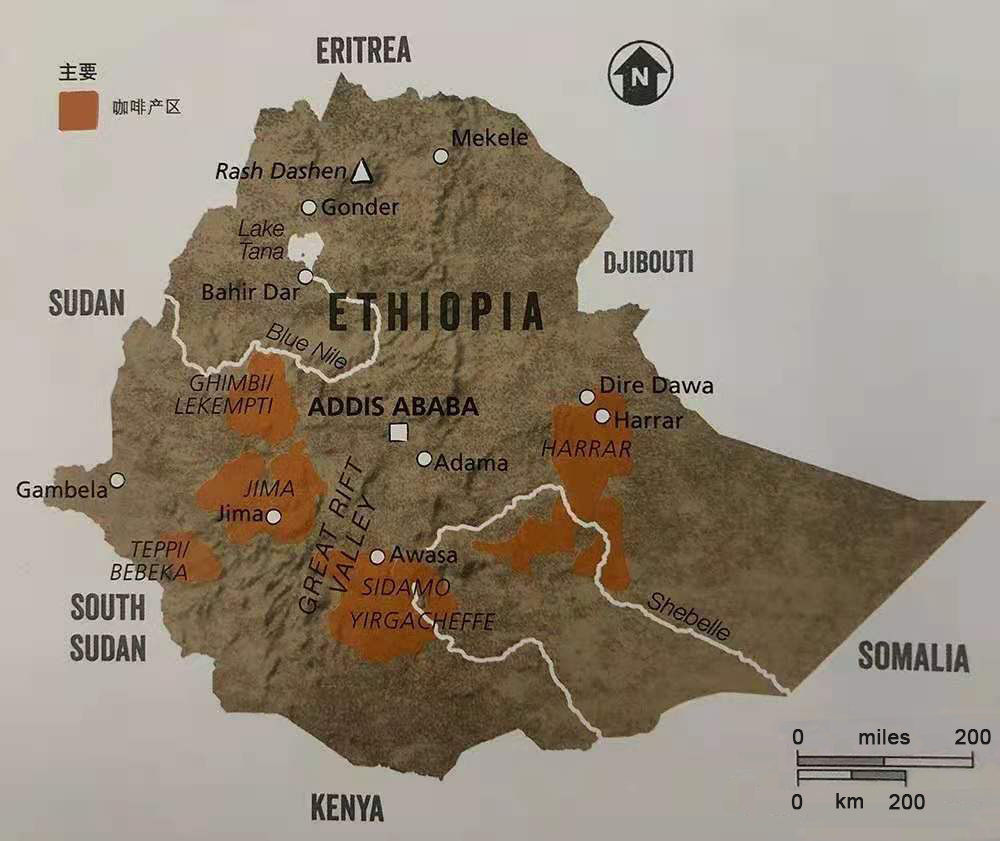 Ethiopiasidamo、EthiopiaSidamo的中文