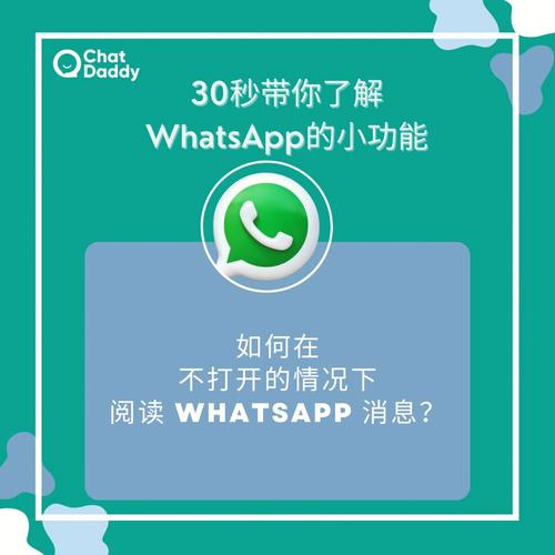 whatsapp最新版本安装包、whatsapp最新版本下载 安卓版