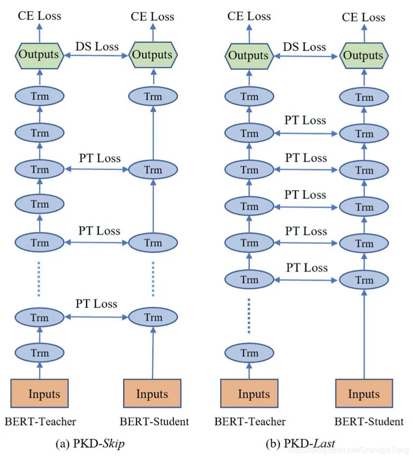 tokenembedding、tokenembedding的作用