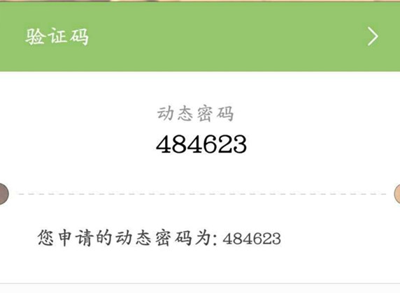 国际短信验证码平台、国际短信验证码平台怎么用