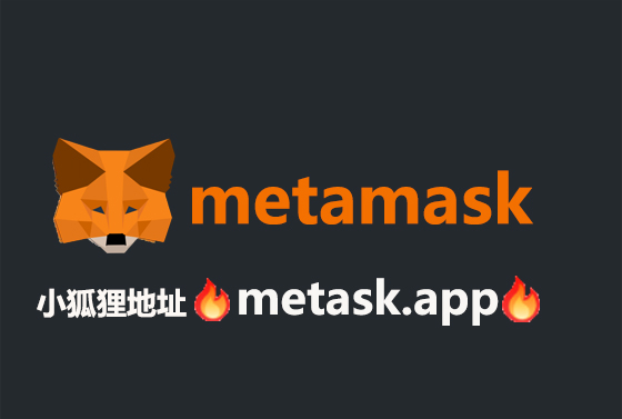 关于小狐狸钱包APP使用教程的信息