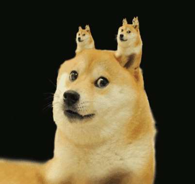 doge、女生聊天时经常发doge