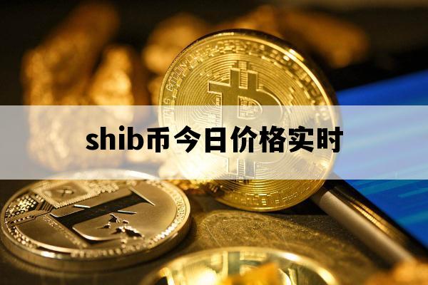 SHIB币最新价格、shib币最新价格今天