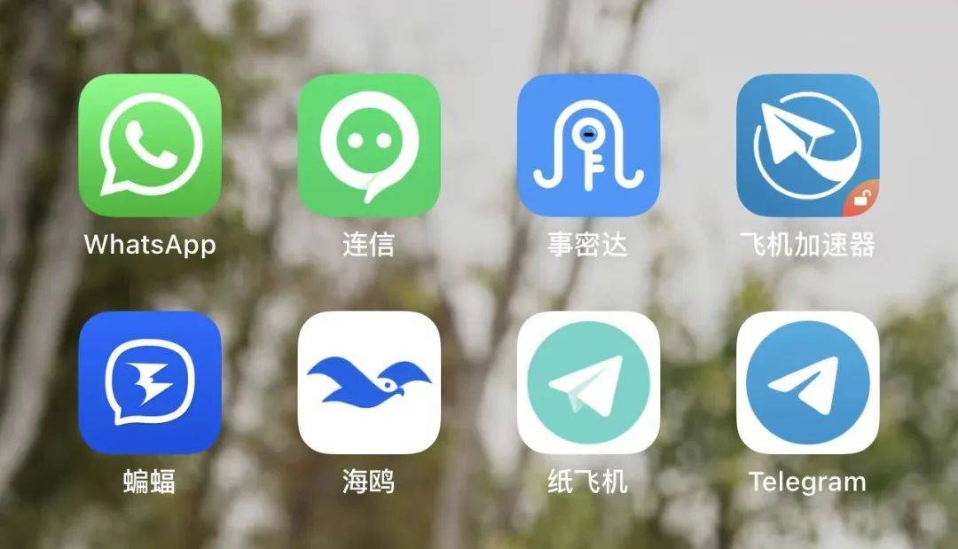 whatsapp官网入口、whatsappbusiness官网