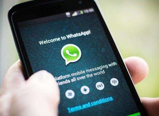 whatsapp发不了信息、whatsapp为什么发不出去消息