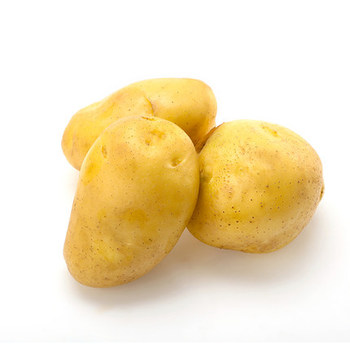 potato付费、potatoim官网