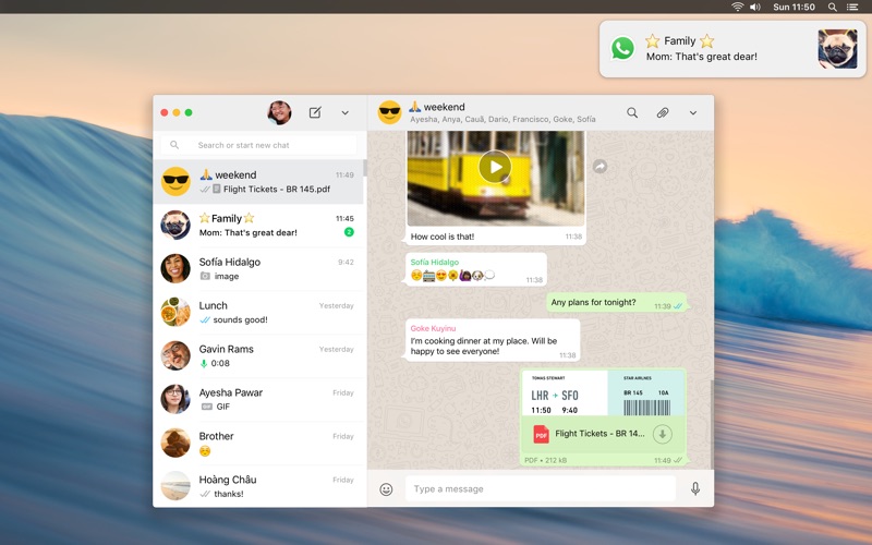 whatsapp下载apk、WhatsAPP下载2023