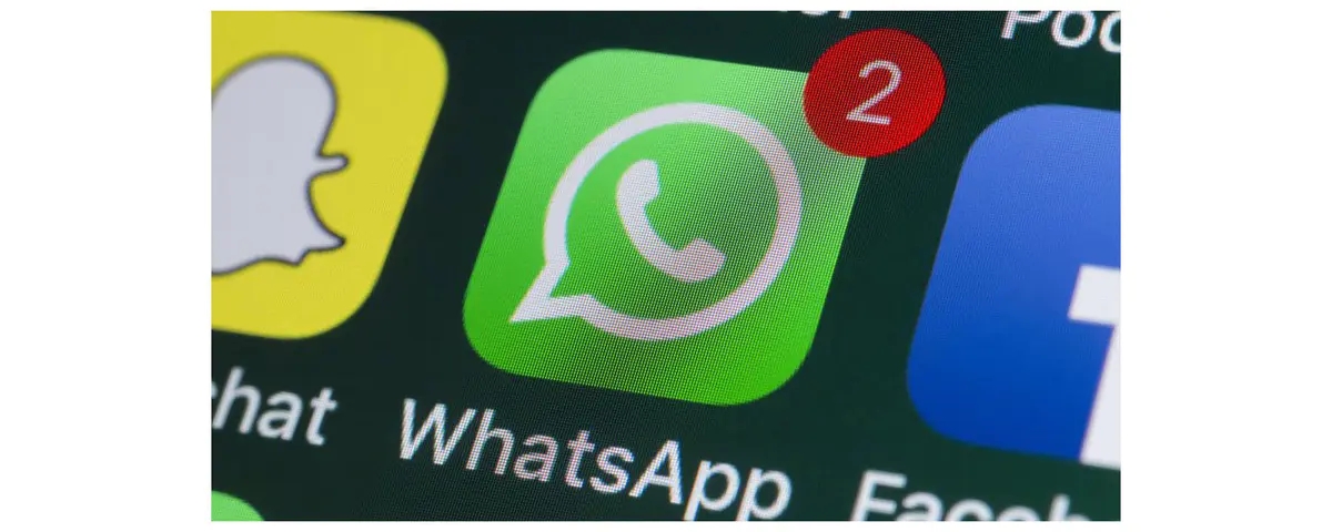 whatsapp无法下载、whatsapp无法下载PDF