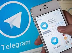 关于web.telegram.org.cn的信息