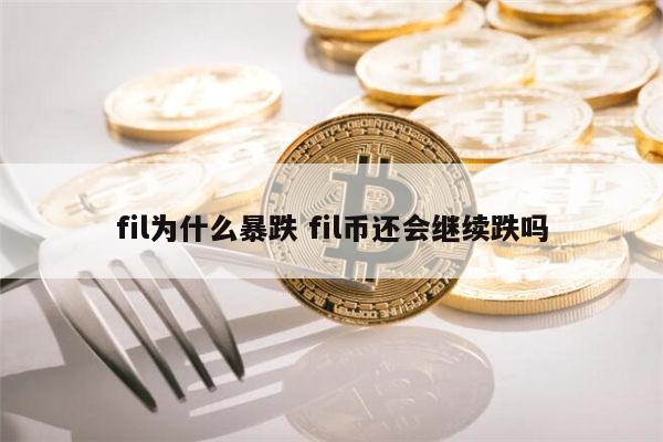 fil币啥意思、fil币是什么意思