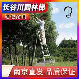 果园专用梯子,果园专用梯子图片大全