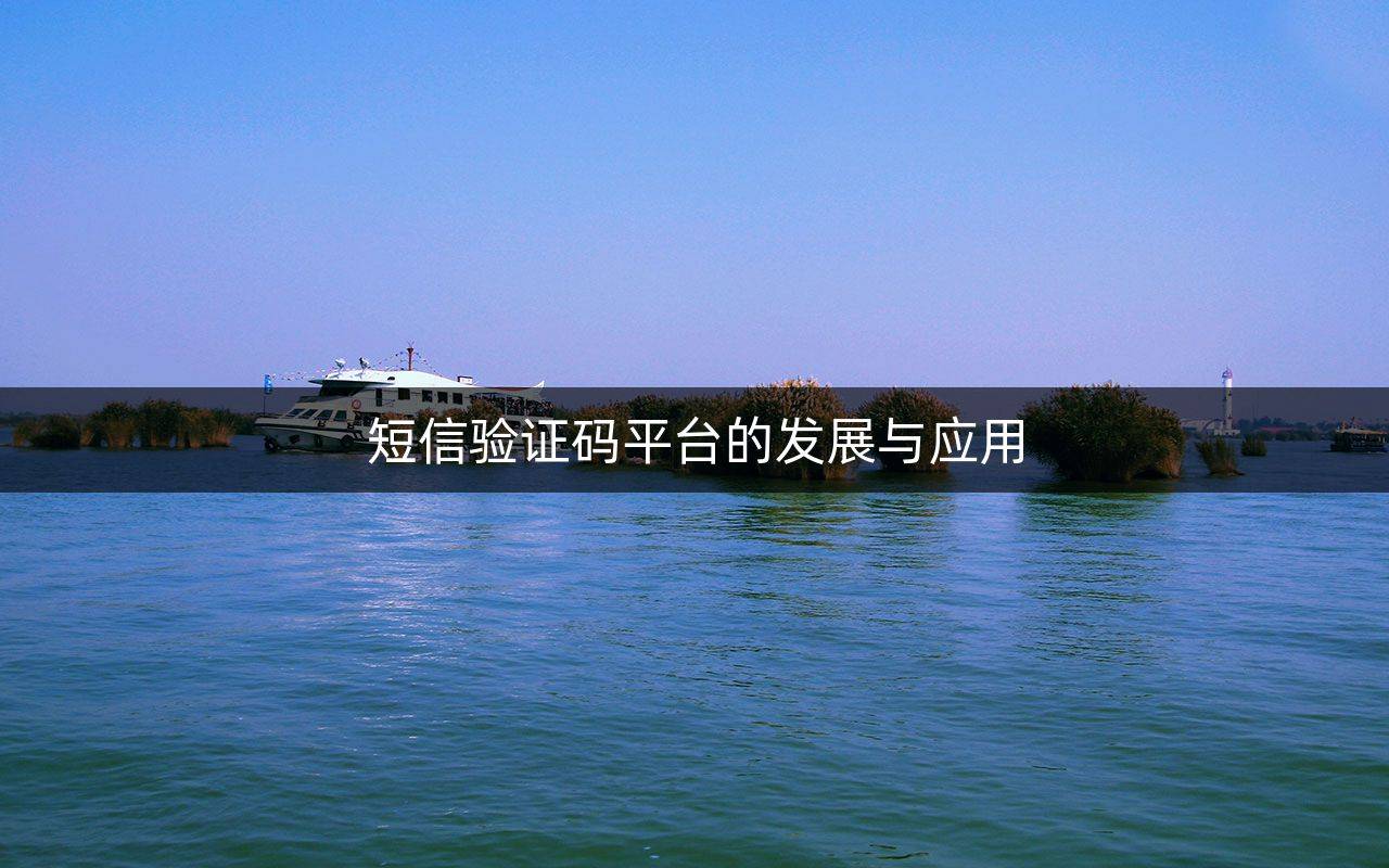 飞鱼短信验证码平台,2024短信验证码平台