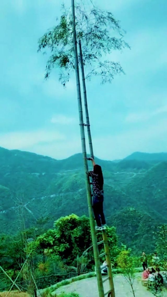 一个人爬梯子上天图片,一个人爬楼梯的图片是什么意思