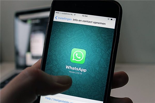 whatsappcontacts的简单介绍