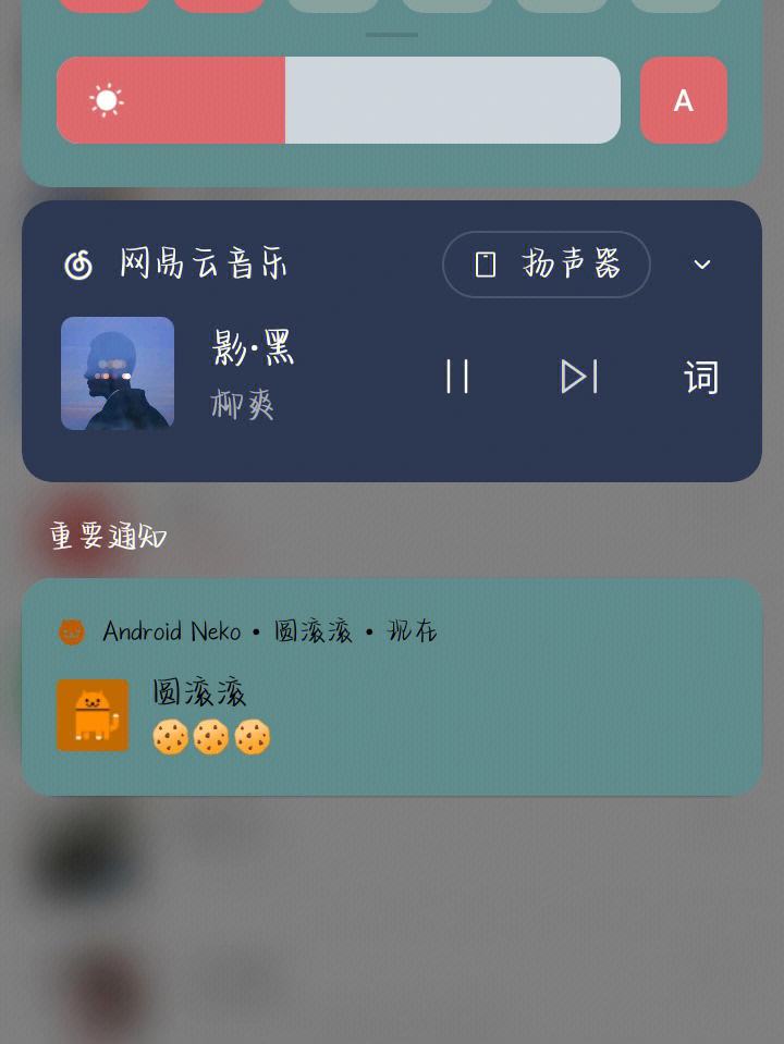 猫猫云官网梯子,猫猫云clash