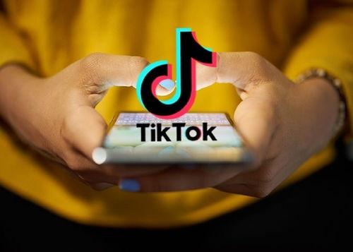 国际抖音tiktok官网入口,抖音国际版 tiktok官方下载