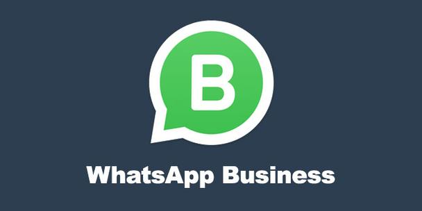 whatsapp官网手机版下载最新,whatsapp官网手机最新版本下载