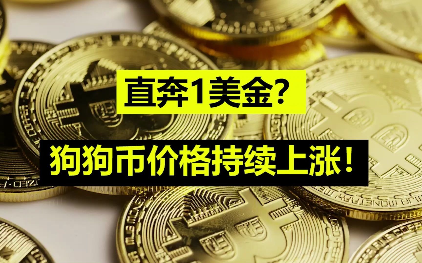 狗狗币今日最新价格行情,狗狗币今日最新价格行情美元