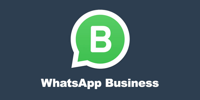 whatsapp安卓版下载最新版本下载,whatsapp安卓手机版下载v22020624免费下载