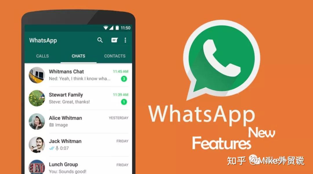 关于whatsapp中文叫什么中国境内有哪些社交软件可以用的信息