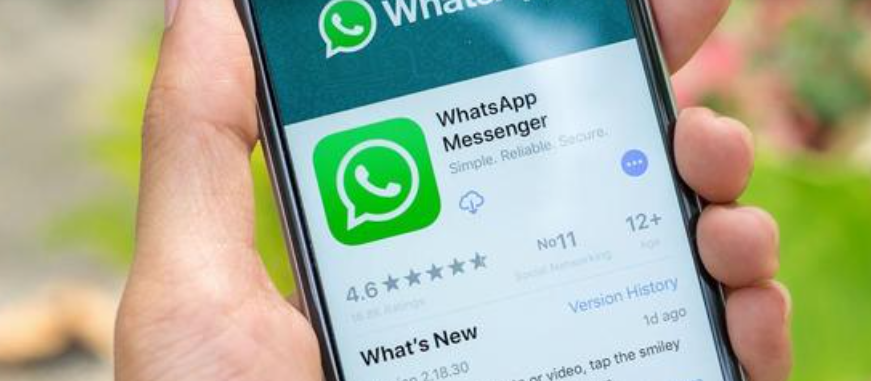 whatsapp中文叫什么名字的简单介绍
