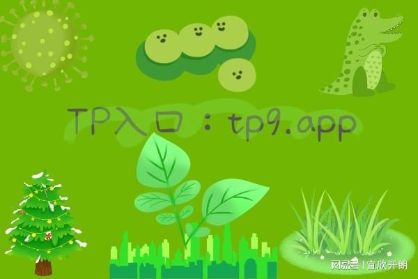 tokenpocket钱包,javascript免费网站