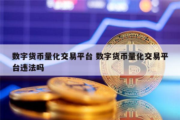 数字货币交易所有几个,中国数字货币交易所牌照有几个