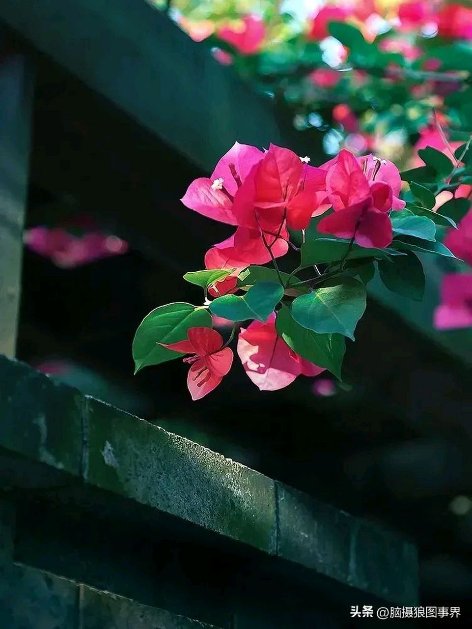 给你花app苹果版,给你花贷款官方app下载