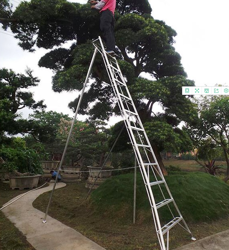 果树专用梯子怎么制作,果树专用梯子怎么制作视频
