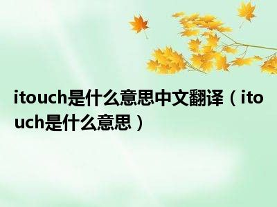 skype翻译成中文是什么意思,skype翻译成中文是什么意思啊