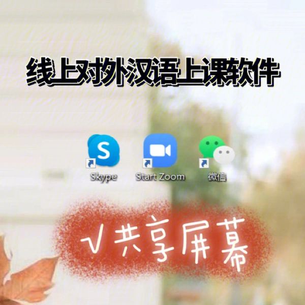 skype汉语意思,skype意思中文翻译