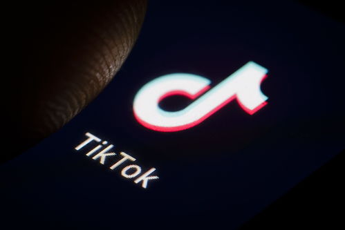 toktiktok下载ios,tik tok app 下载ios