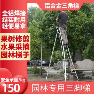 果园专用梯子,果园专用梯子有哪些