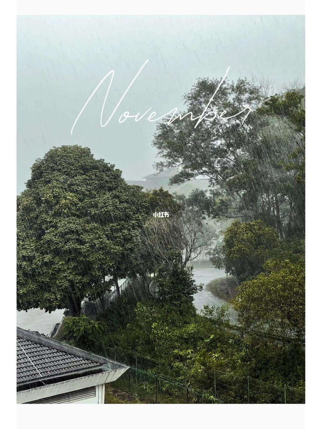 苹果手机下载utm,苹果手机下载软件在哪