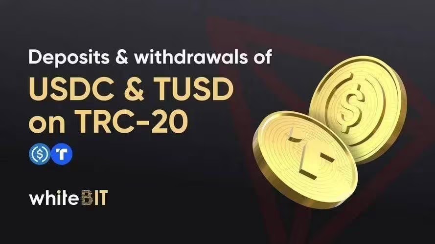 usdtomni钱包,usdtomni钱包